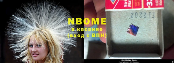 бошки Алексин