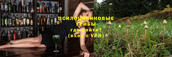 бошки Алексин