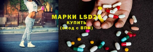 молекула духа Осташков