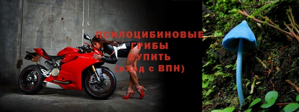 мяу мяу мука Алексеевка