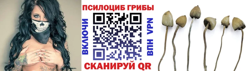 Галлюциногенные грибы ЛСД где можно купить наркотик OMG вход Ясный